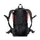 phil&teds-chilli-parade-lightweight-carrier-back-view.webp